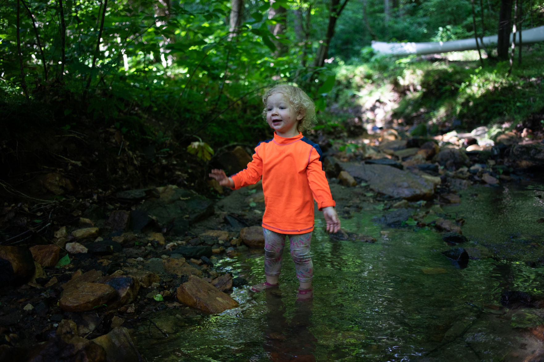 ONE Forest School 09